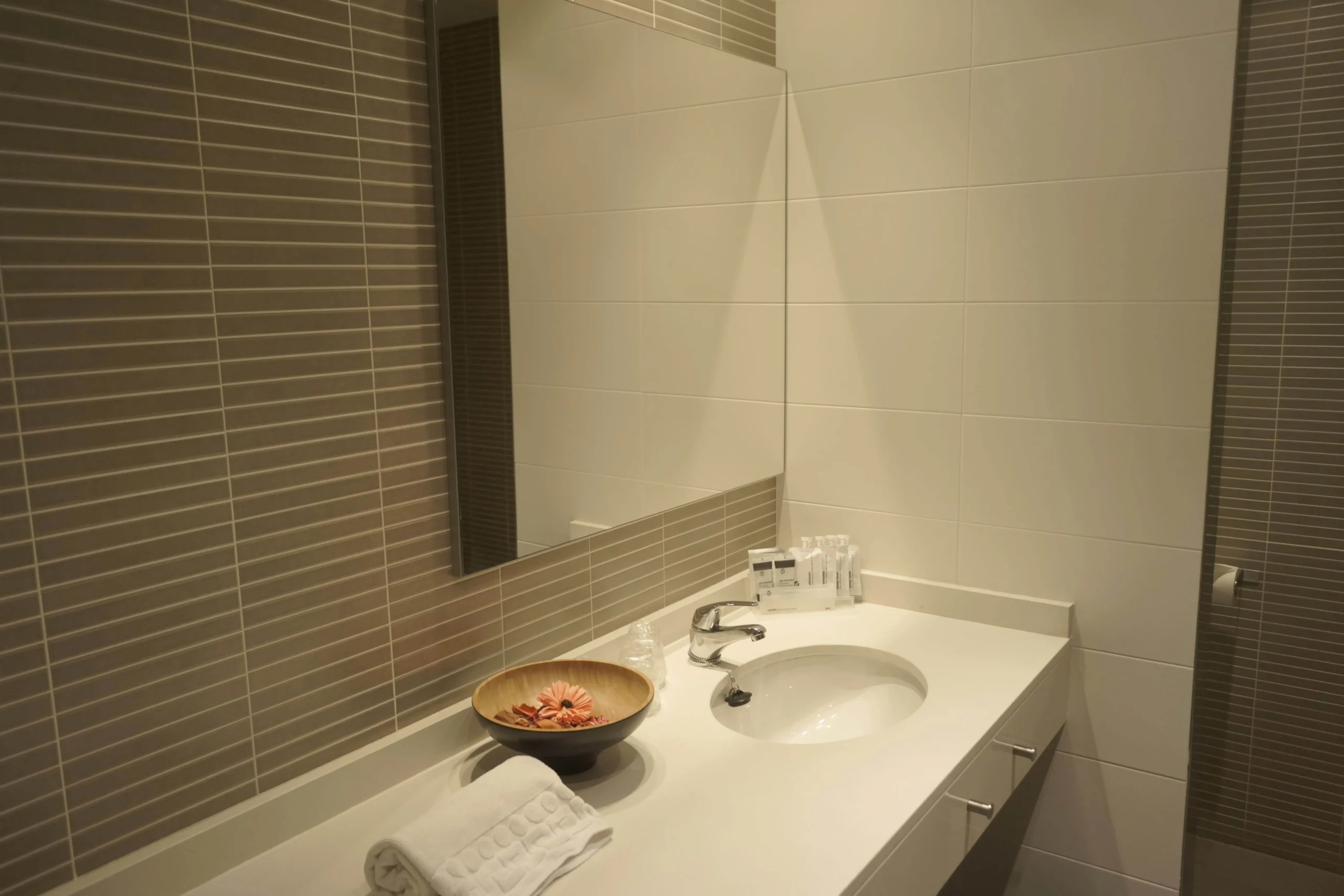 Habitación Suite baño